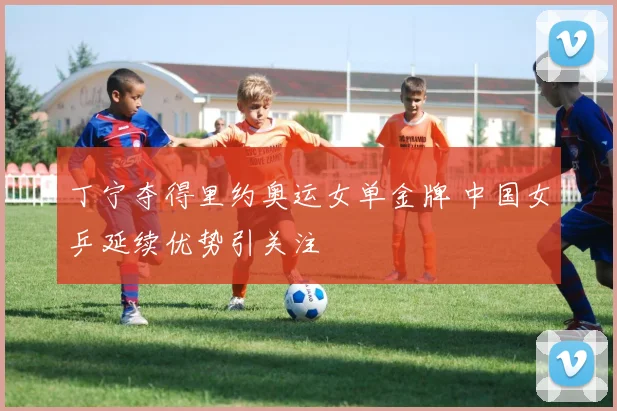 丁宁夺得里约奥运女单金牌 中国女乒延续优势引关注
