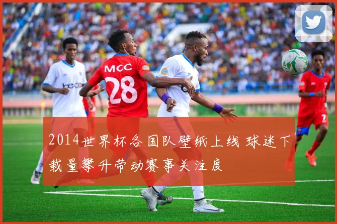 2014世界杯各国队壁纸上线 球迷下载量攀升带动赛事关注度